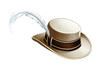 © Tatyana - Cowboy Hat with Feather Brown and Gold Western Style Accessory on a transparent background