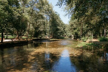 Wall Mural - Serene park scene featuring a clear stream surrounded by lush green trees