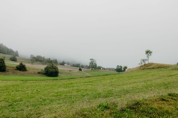 Wall Mural - Serene countryside landscape with green fields and trees under a cloudy sky