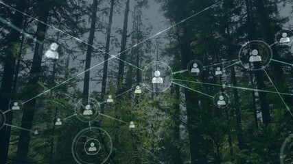 Poster - Animation of network of connections with icons over forest