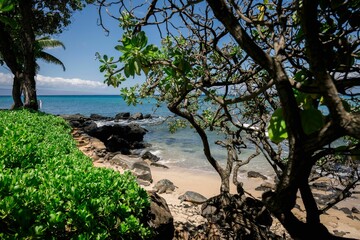 Wall Mural - Serene beach with turquoise waters and lush greenery.