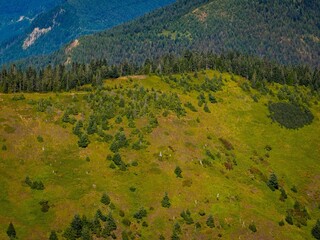 Poster - Aerial view of a lush green landscape on a sunny day