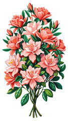 Wall Mural - Vibrant Azalea Flower Illustration with Green Leaves - Detailed illustration of a vibrant azalea flower, surrounded by lush green leaves. Perfect for nature-themed artwork or botanical designs