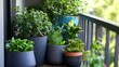 © CYBERPINK - A row of potted plants sit on a balcony railing