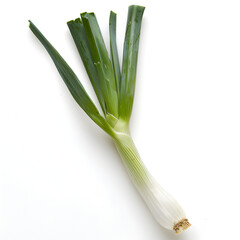 Wall Mural - Fresh green onions isolated on white background