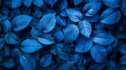 blue plant leaves in nature during the fall season, with a blue background.