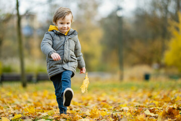 Canvas Print - Cute little boy playing outdoors on sunny autumn day. Child exploring nature. Fall activities for kids.