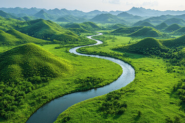 Wall Mural - Bird's-eye perspective of a winding river snaking through a vibrant green valley, showcasing the contrast between water and lush terrain.