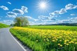 © LimeSky - Sunny spring day in the countryside with asphalt road and beautiful nature