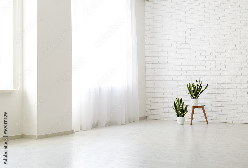 Houseplants in stylish empty room