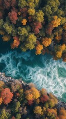 Autumn forest trees on a river view..