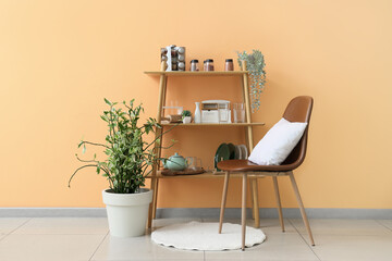 Canvas Print - Armchair, houseplant and shelving unit near orange wall in kitchen