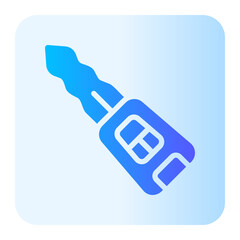 Poster - car key gradient icon