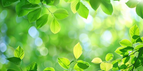 Poster - Illustration of Beautiful Green Leaves from a Natural Environment