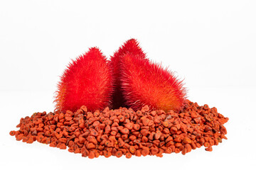 Sticker - Organic annatto plant - Bixa Orellana red seeds