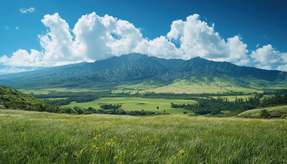 Wall Mural - Maui, Hawaii, tropical island, paradise, ocean, vacation photo, typical place