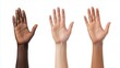 © top images - Three hands are raised in the air, one of which is black, one is white