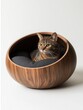 © Kanyakarn - A stylish wooden pet bed featuring a cozy cushion, perfect for cats looking for a comfortable resting place.