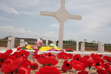 Long Tan and Nui Dat are places of significance for Australians as they served as the icon of the Vietnam war. 