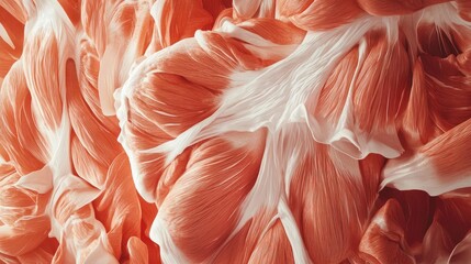 Poster - A close-up of intricate, textured muscle tissue showing shades of orange and white, highlighting the organic beauty of nature.