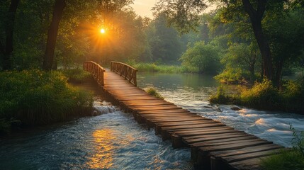 Poster - Sunrise Over a Wooden Bridge in a Forest