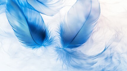 Sticker - Blue feather abstract on white background