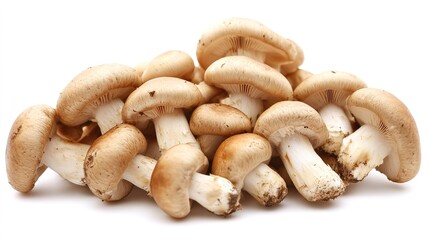 A cluster of honey mushrooms showcasing their distinctive golden-brown caps and delicate stems. The mushrooms are arranged in a natural setting, highlighting their unique texture and color