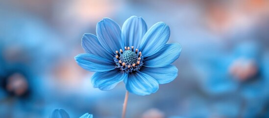 Wall Mural - Blue Flower Macro