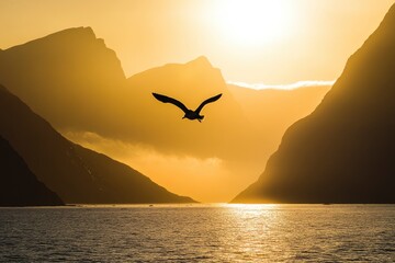 Sea bird flying over the silhouetted mountains with the golden light of sunrise shining on the western fjords of kalaallit nunaat- west greenland, greenland, ai