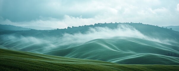 Poster - Rolling hills covered with mist in early