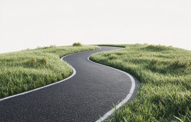 a winding asphalt road with white lines runs through a field of lush green grass.