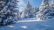 © desi - A serene winter landscape featuring snow-covered trees and a peaceful snowy ground under a clear blue sky.