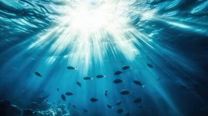 Poster - serene image of a school of fish gliding effortlessly through a sunlit part of the sea.