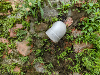 A weathered, curved drainage pipe clings to an old stone wall, its surface slowly overtaken by patches of moss and tufts of grass.