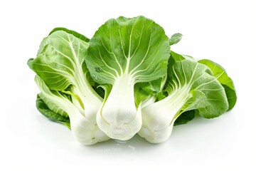 A fresh Bok choy isolated on white