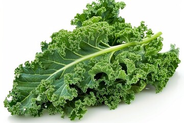 A fresh Kale isolated on white