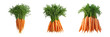 © vectorizer88 - Bunches of fresh carrots in three variations isolated on transparent background