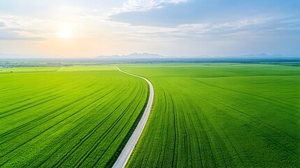 Poster - Aerial View of Extensive Water Pipeline Network Across Agricultural Landscape