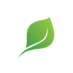 Leaf green nature logo and symbol vector