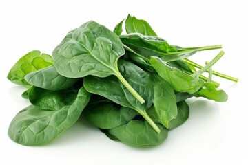 Wall Mural - A fresh Spinach isolated on white