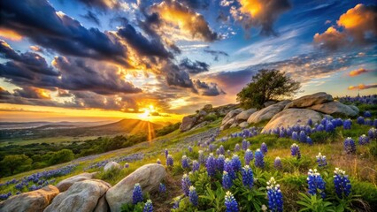 Rustic bluebonnet landscape with wind-blown grass on rocky hillside at sunset in warm golden light with dramatic sky and subtle flowers in foreground.