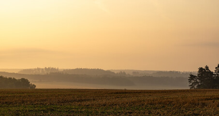 Wall Mural - Autumn sunrise in rural landscape with stubble and forests