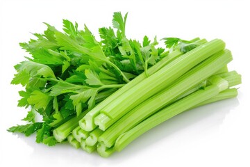 Fresh celery stalks arranged on a clean white background