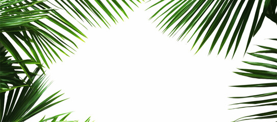 Sticker - Isolated palm leaves on a white background, with a green tropical leaf border frame and copy space for text and design.