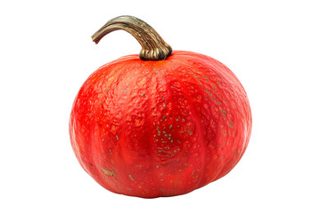 Closeup of kuri red pumpkin with a golden stem isolated on a white background. Autumn harvest concept.