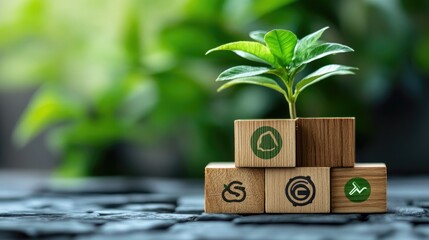 A small plant sprouts from wooden blocks with green eco-friendly symbols on a blurred green background.