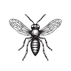 Wall Mural - Wasp in cartoon, doodle style . Image for t-shirt, web, mobile apps and ui. Isolated 2d vector illustration in logo, icon, sketch style, Eps 10, black and white. AI Generative