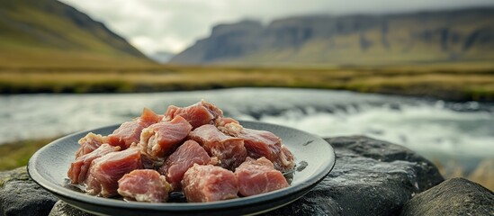 Fresh meat on a plate by a scenic river landscape.