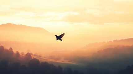 Poster - Silhouette of a Bird Flying in a Misty Sunset