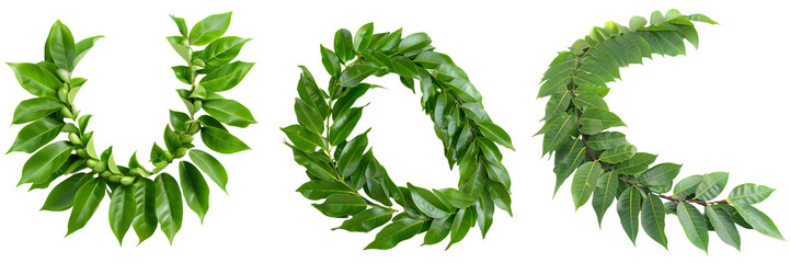 Green leaf garlands arranged in round, U, and C shapes, used for decoration during festivals and celebrations isolated on a white background, png